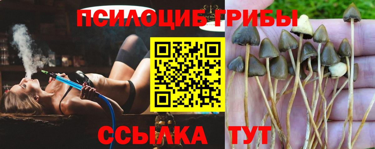 продажа наркотиков  Галлюциногенные грибы MAGIC MUSHROOMS  Вход с VPN  Семилуки 